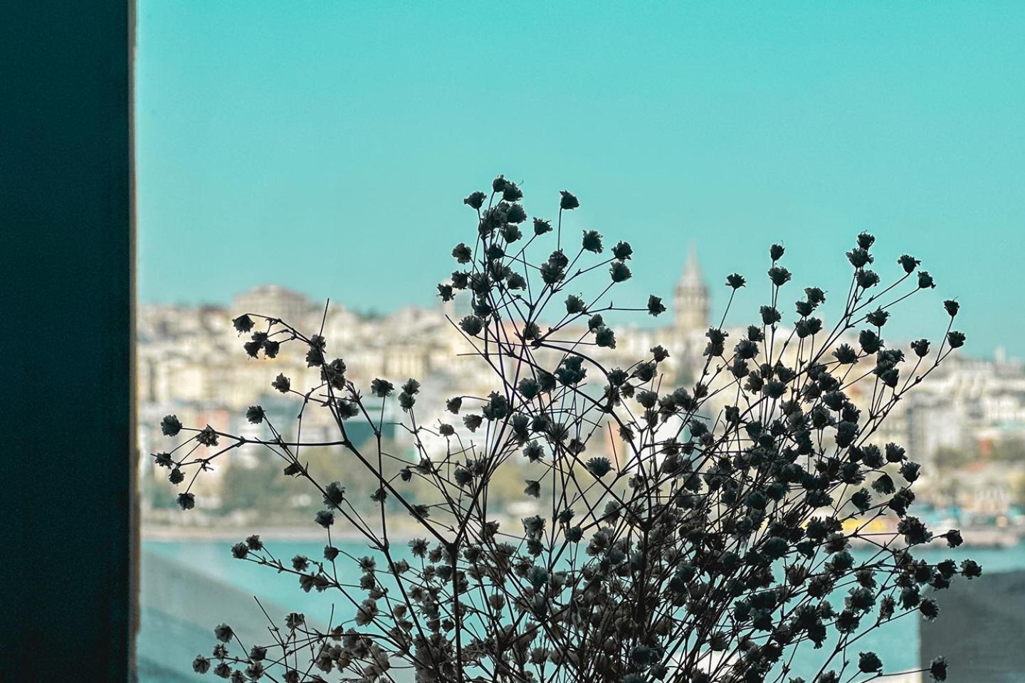 The Halic Bosphorus Hotel Istanboel Buitenkant foto